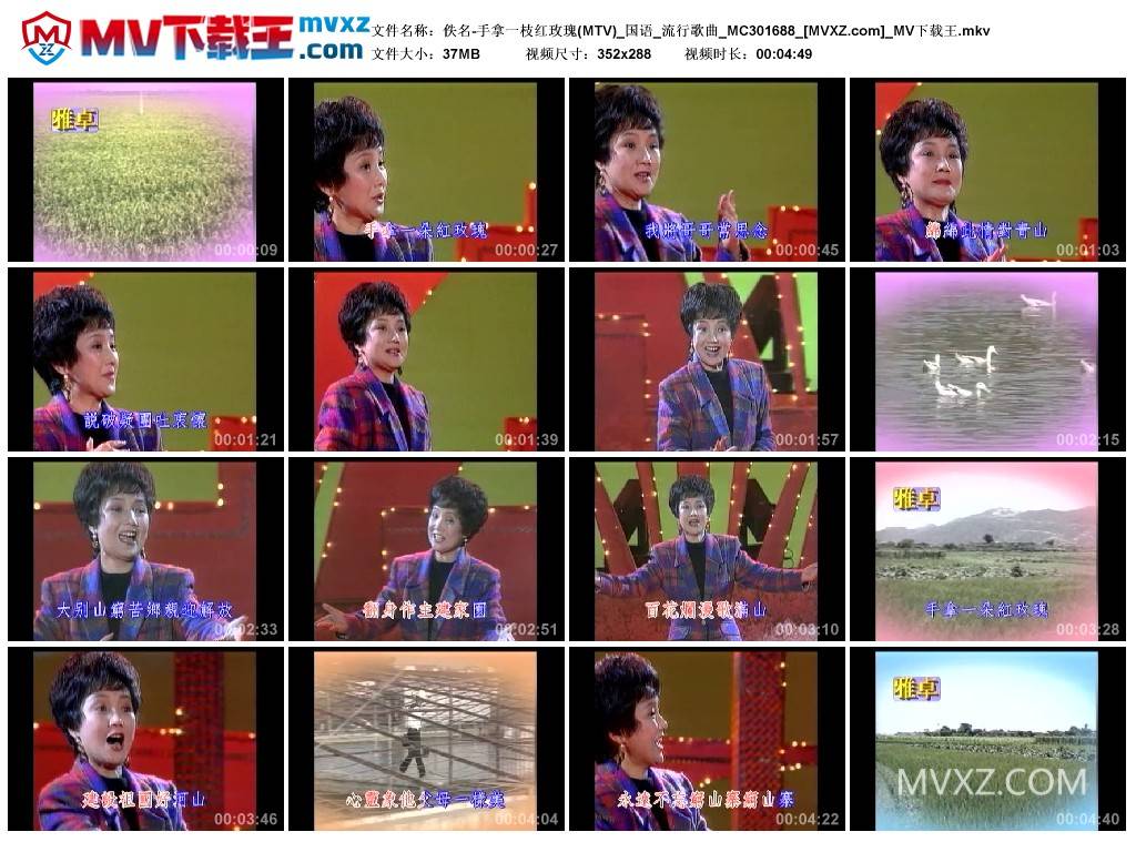 佚名-手拿一枝红玫瑰(MTV)_国语_流行歌曲_MC301688